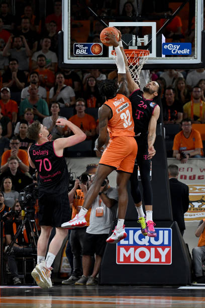 杨鸣的决定 杨鸣的决定