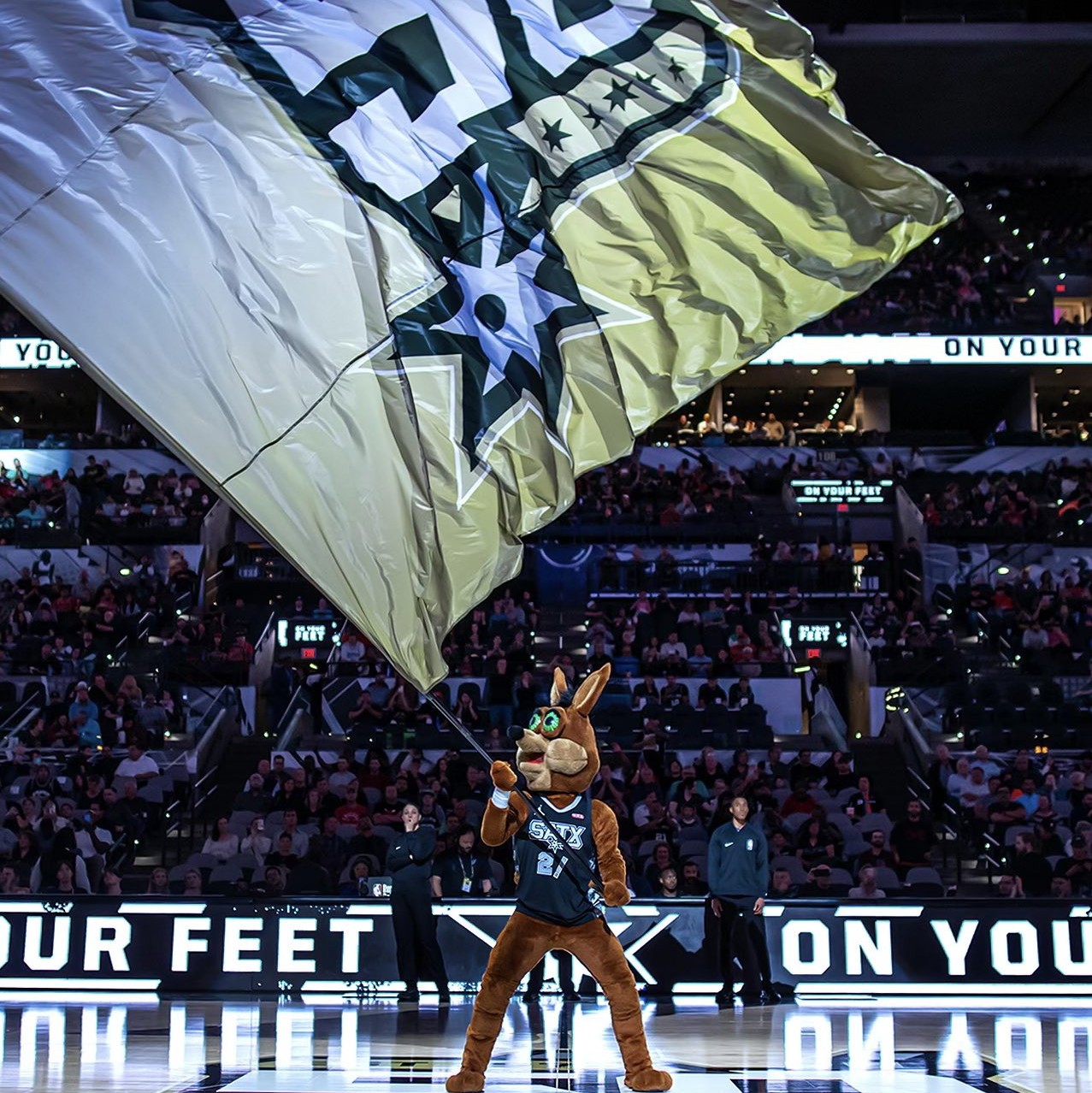 团队的深厚 团队的深厚